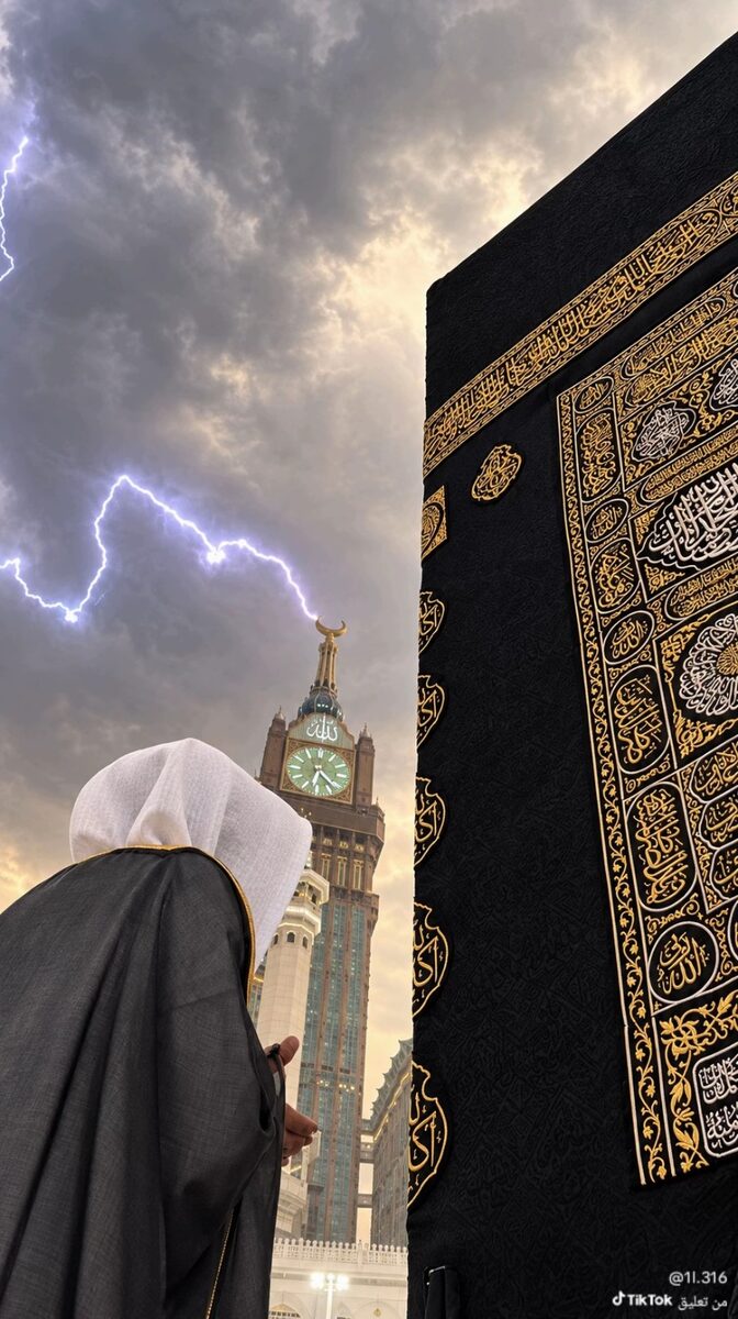 معاينة الغلاف
